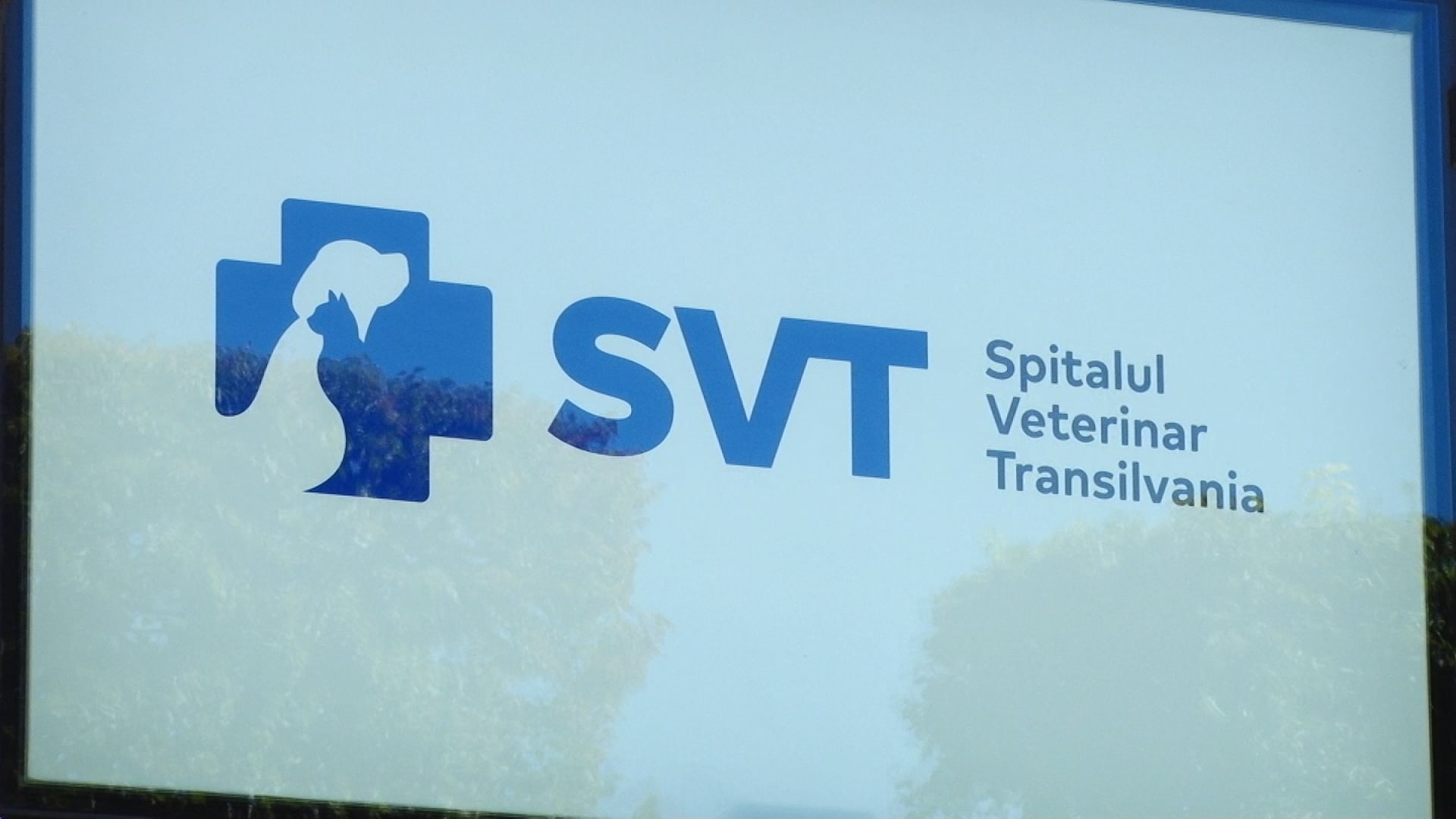 Spital veterinar non-stop, deschis la Timișoara pentru urgențe