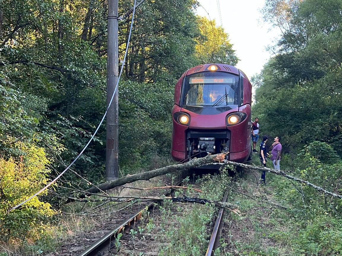 copac căzut pe linia de contact feroviară în Banat copac căzut pe linia de contact feroviară în Banat