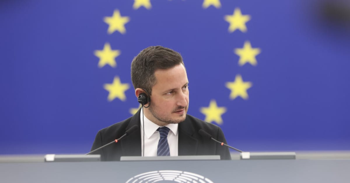 Nicu Ștefănuță compară situația din Germania cu cea din România după scorul AfD