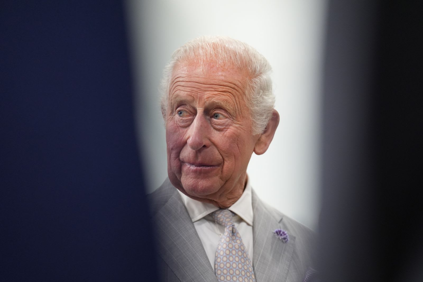 Regele Charles a confirmat că Harry și Meghan rămân membri ai familiei regale fără atribuții oficiale