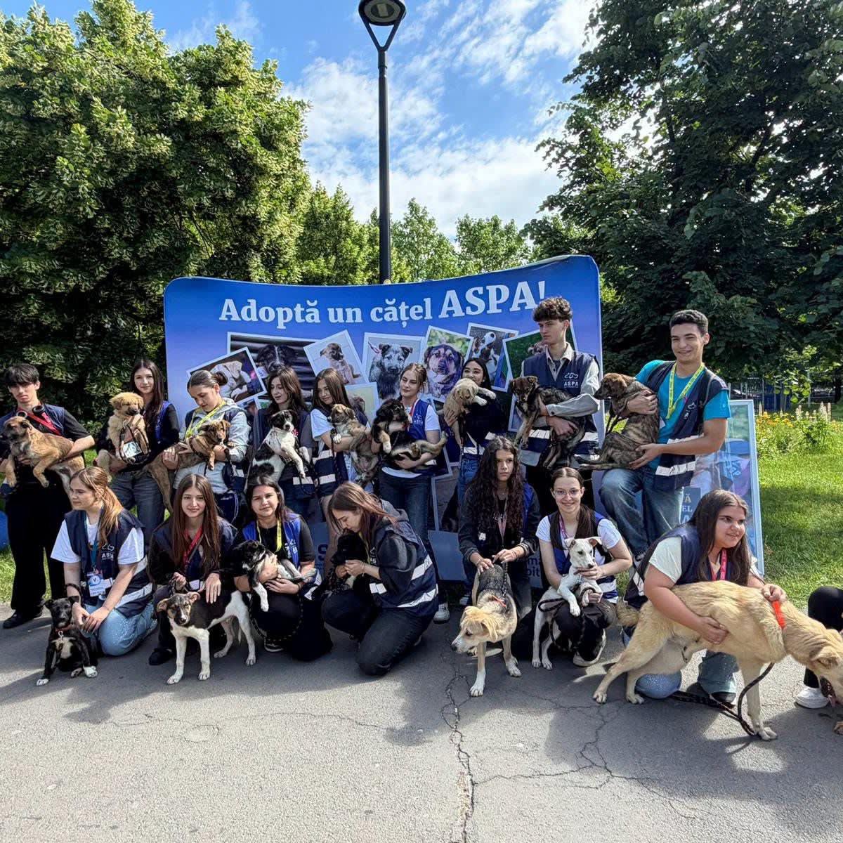 Bucureștenii care a adoptat un cățel la Târgul ASPA din Parcul Izvor primesc cadouri în weekend