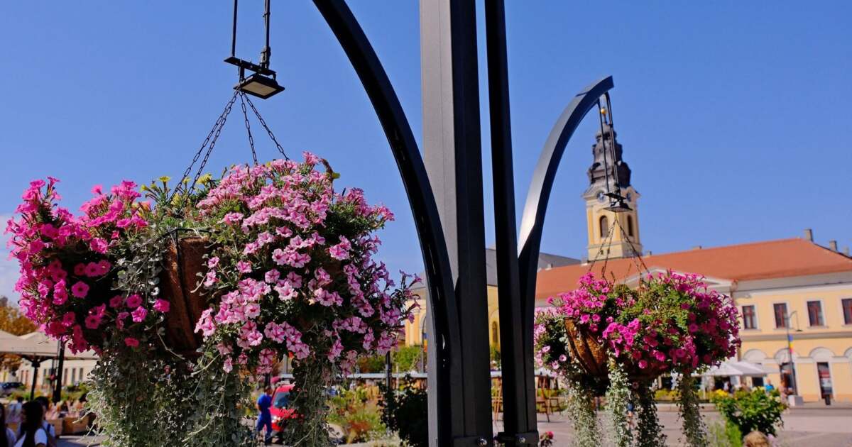 Activități culturale și educative în Oradea pe 9 septembrie 2026