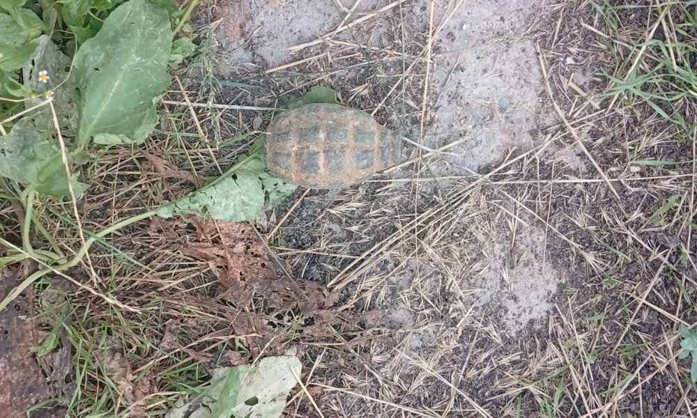 Grenadă descoperită la o fabrică din Neamț și proiectil perforant în curtea unui localnic