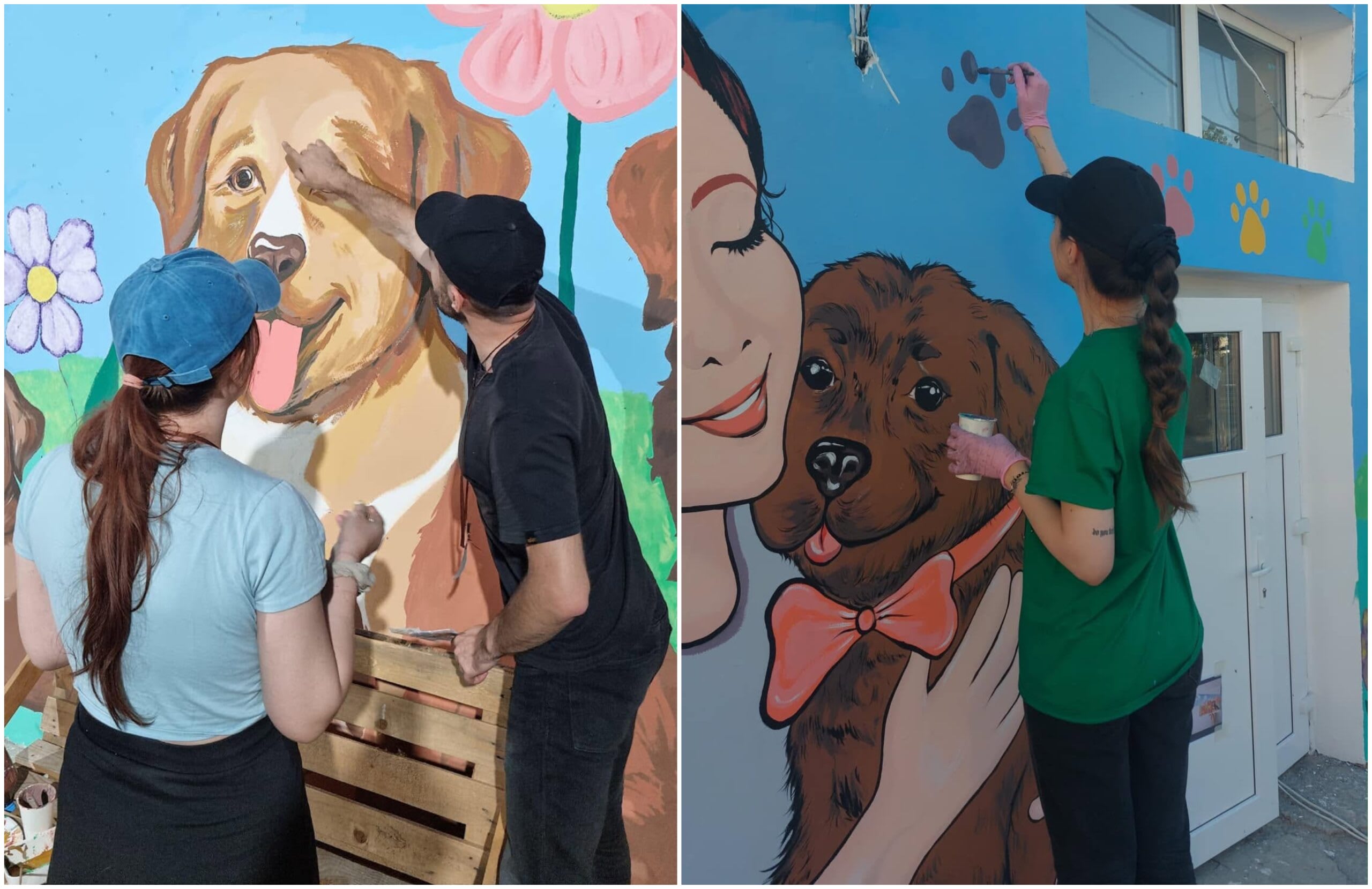 Voluntarii au transformat adăposturile ASPA din Mihăilești și Bragadiru în spații colorate și prietenoase