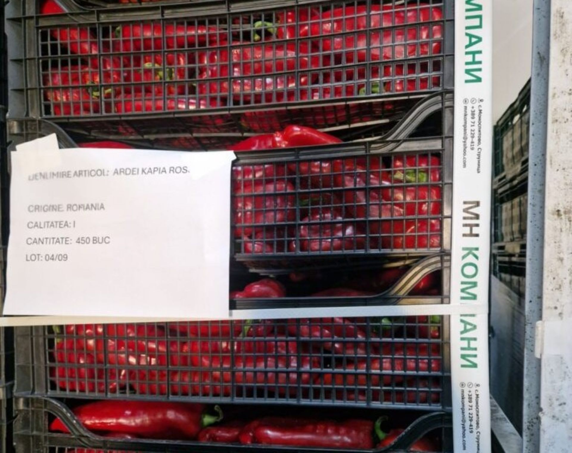 Depozit de legume din Ilfov închis, 15 tone retrase și amenzi de 24.000 de lei în urma controlului ANSVSA