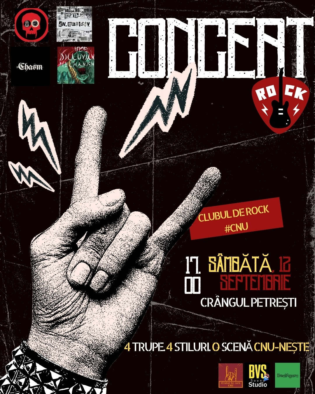 scenă de concert în aer liber, trupe de rock în acțiune scenă de concert în aer liber, trupe de rock în acțiune