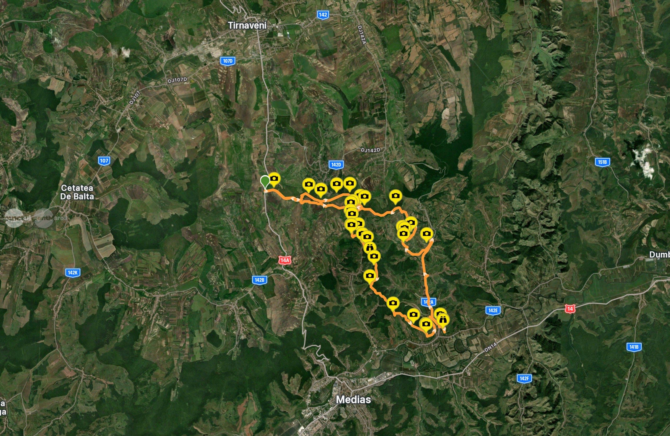 mașină de teren pe traseu off-road în pădure mașină de teren pe traseu off-road în pădure