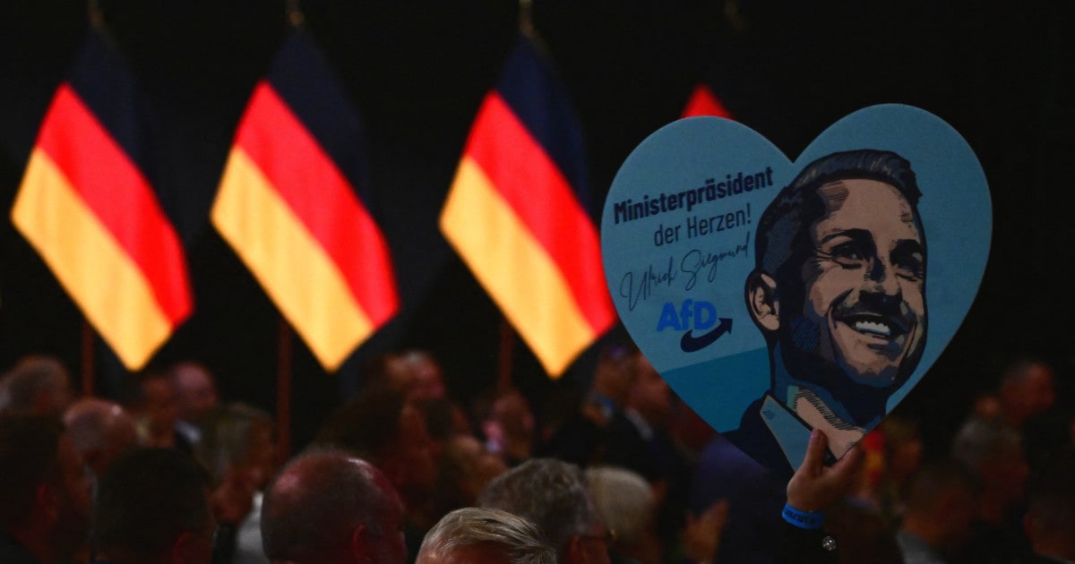 Rezultatul alegerilor din Saxonia-Anhalt: ce învață România din victoria AfD
