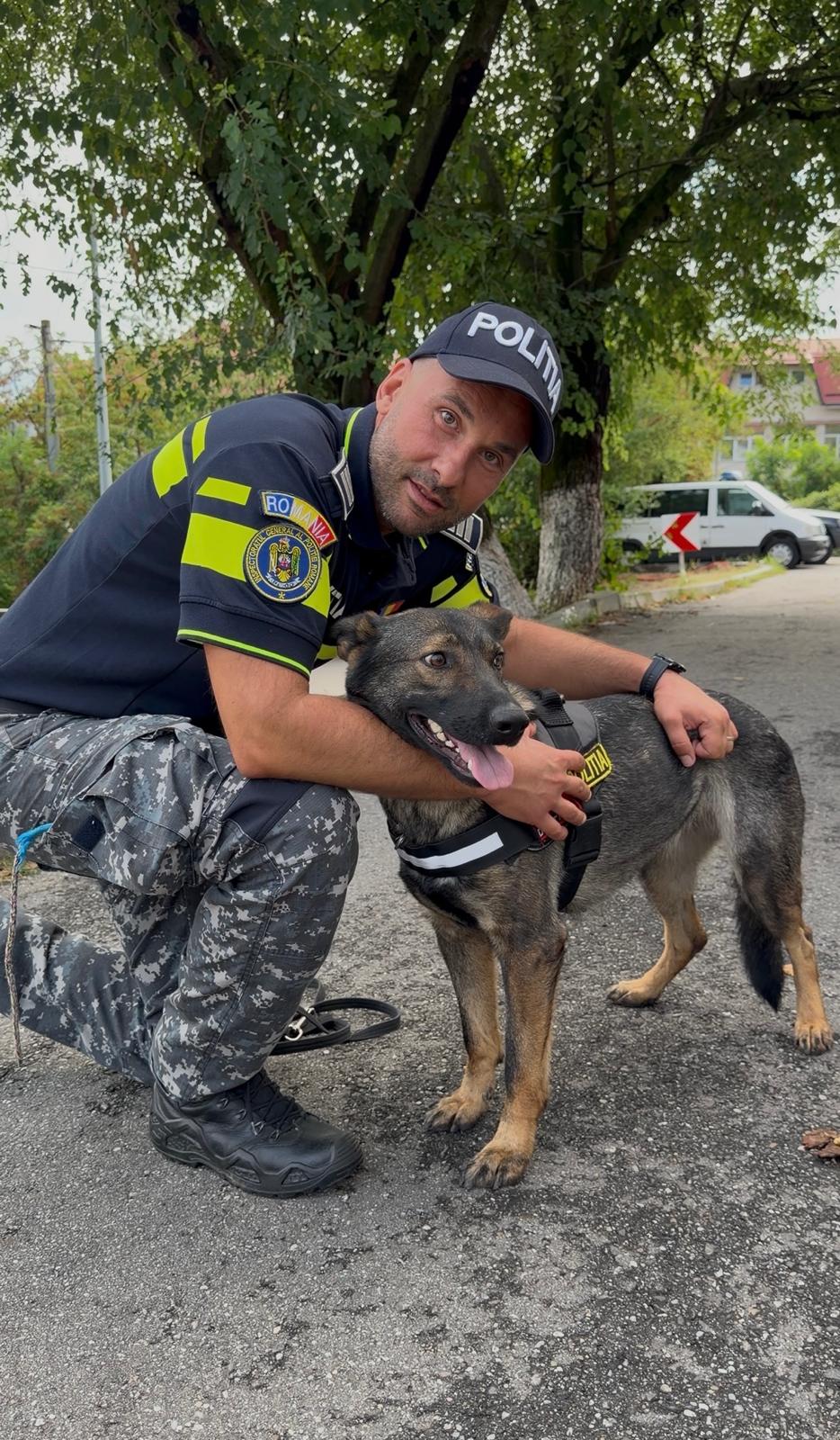 câine de urmă și polițiști în acțiune în Vâlcea câine de urmă și polițiști în acțiune în Vâlcea