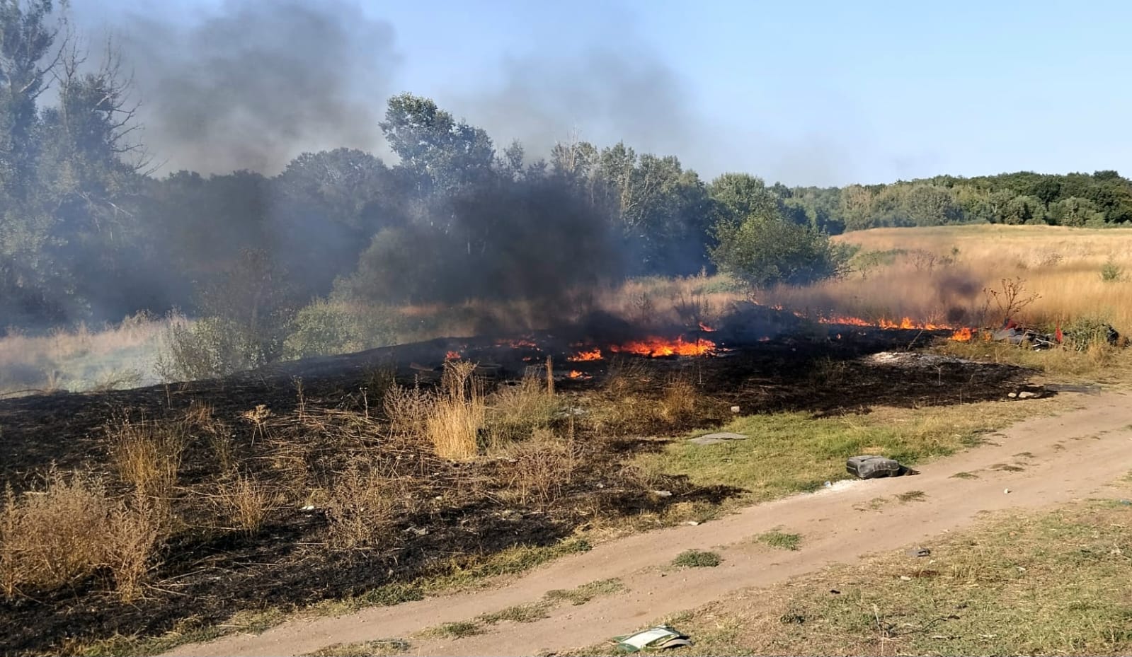 17 incendii de vegetație în trei zile, pompierii fac apel la responsabilitate