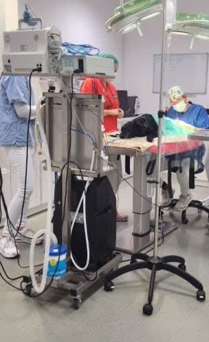 medic veterinar în sala de operație, animale de companie medic veterinar în sala de operație, animale de companie