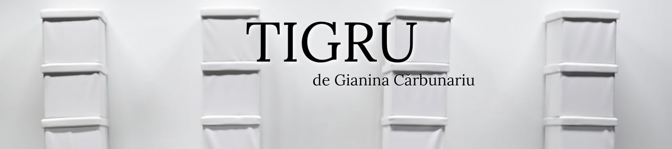 spectacol de teatru cu tigru evadând din ZOO spectacol de teatru cu tigru evadând din ZOO