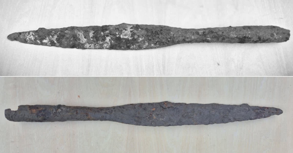 vârf de lance din fier descoperit la Cârlomăneşti vârf de lance din fier descoperit la Cârlomăneşti