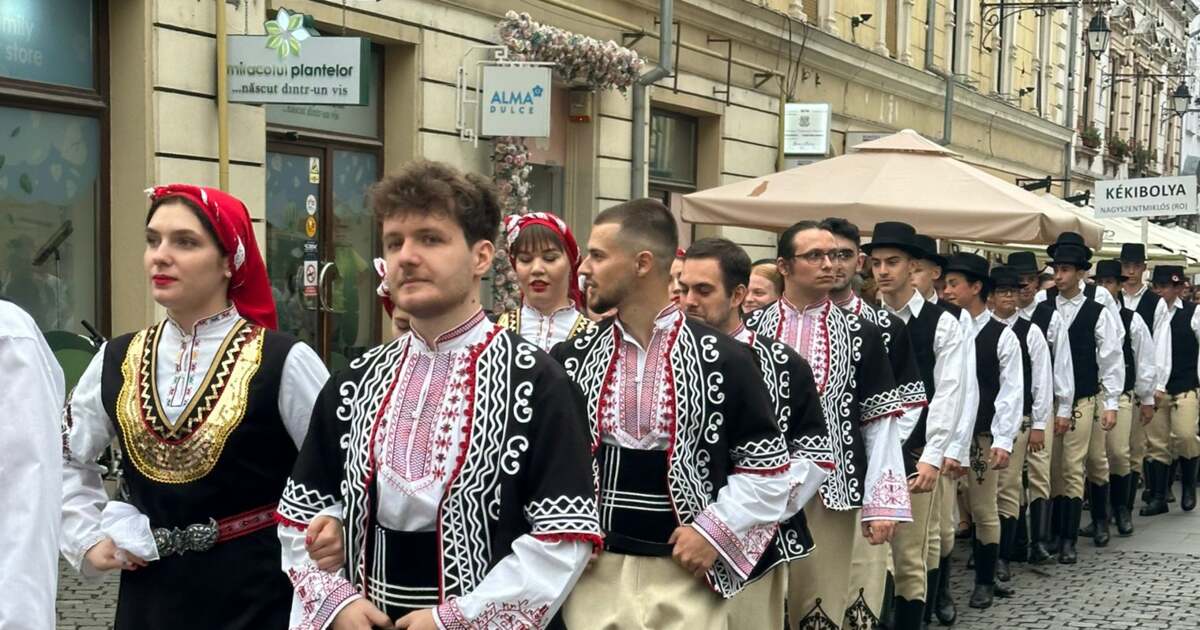 Sala de consiliu a primăriei Timișoara în timpul dezbaterii