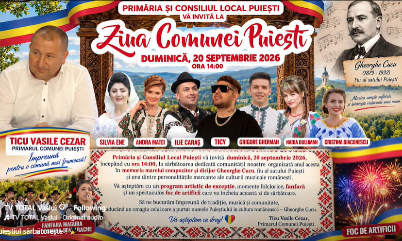 spectacol muzical și foc de artificii în Puiești spectacol muzical și foc de artificii în Puiești