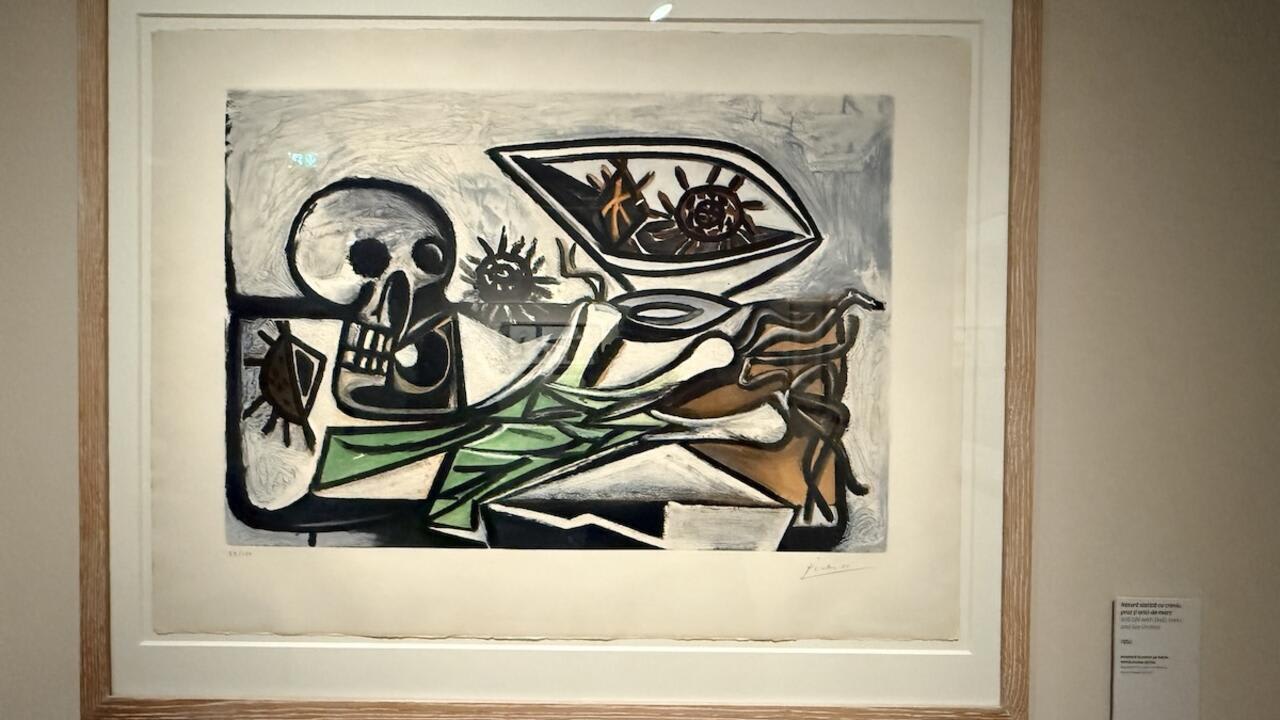 expoziție Picasso la Timișoara, opere pe hârtie și ceramică