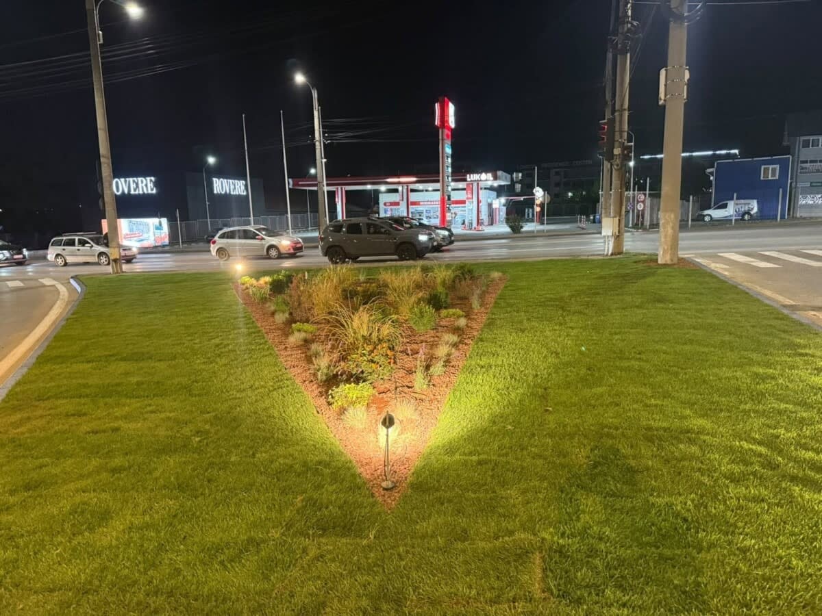 Insulă verde amenajată la intersecția Calea Unirii și Traian Vuia Insulă verde amenajată la intersecția Calea Unirii și Traian Vuia
