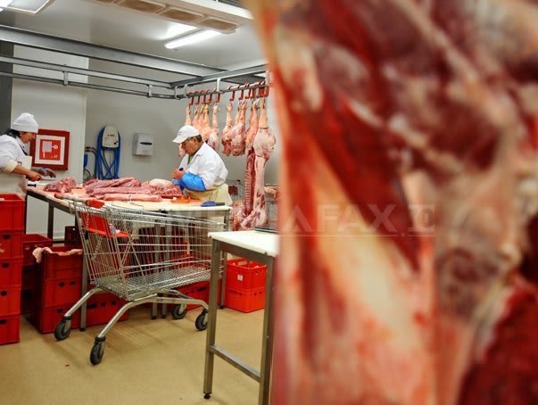 carne și preparate din carne în proces de comercializare