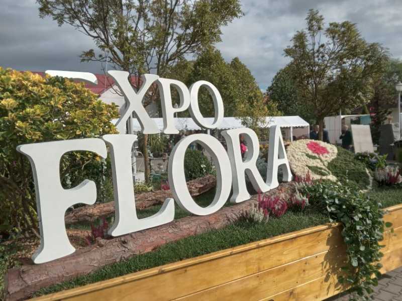 stand expoziție plante și decorațiuni în Baia Mare stand expoziție plante și decorațiuni în Baia Mare