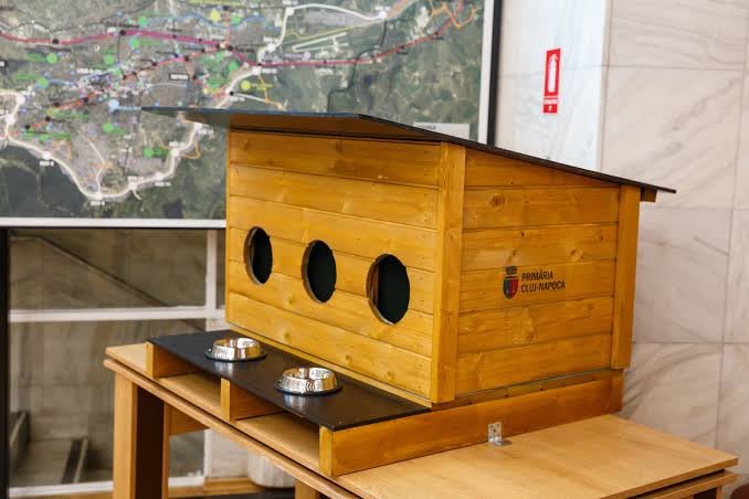 căsuțe pentru pisici amplasate în oraș, animal de companie căsuțe pentru pisici amplasate în oraș, animal de companie