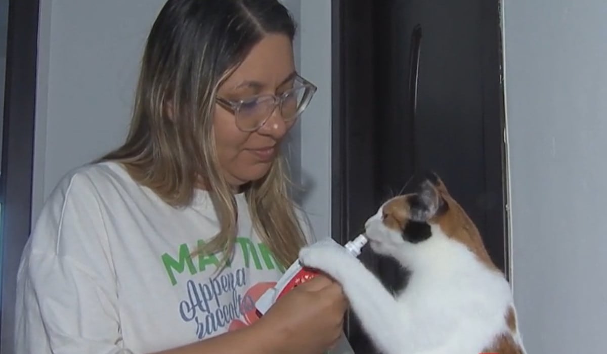 Mâncarea holistică pentru animale, tot mai populară și mai costisitoare