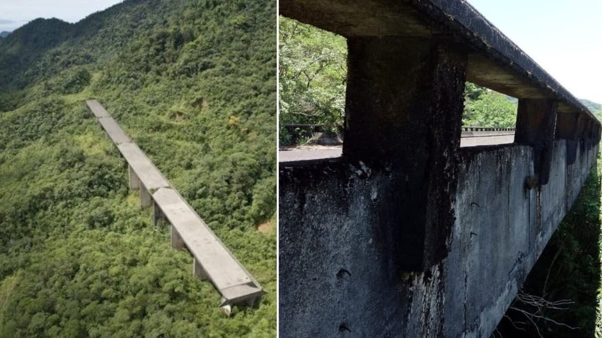 Un pod abandonat din Brazilia a devenit atracție turistică în junglă