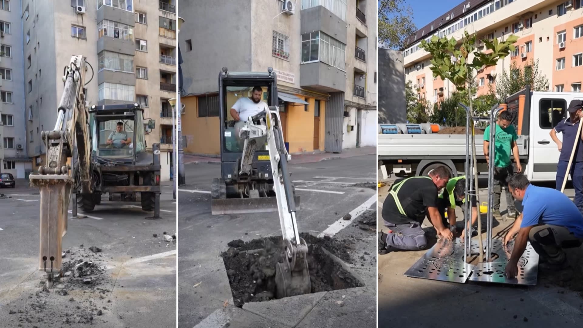 Primăria Sectorului 3 plantează copaci cu armură în parcări, în zona Cioplea