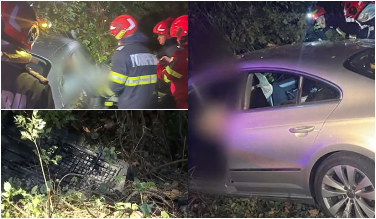 mașină avariată după accident în pădure, copac, șosea periculoasă mașină avariată după accident în pădure, copac, șosea periculoasă