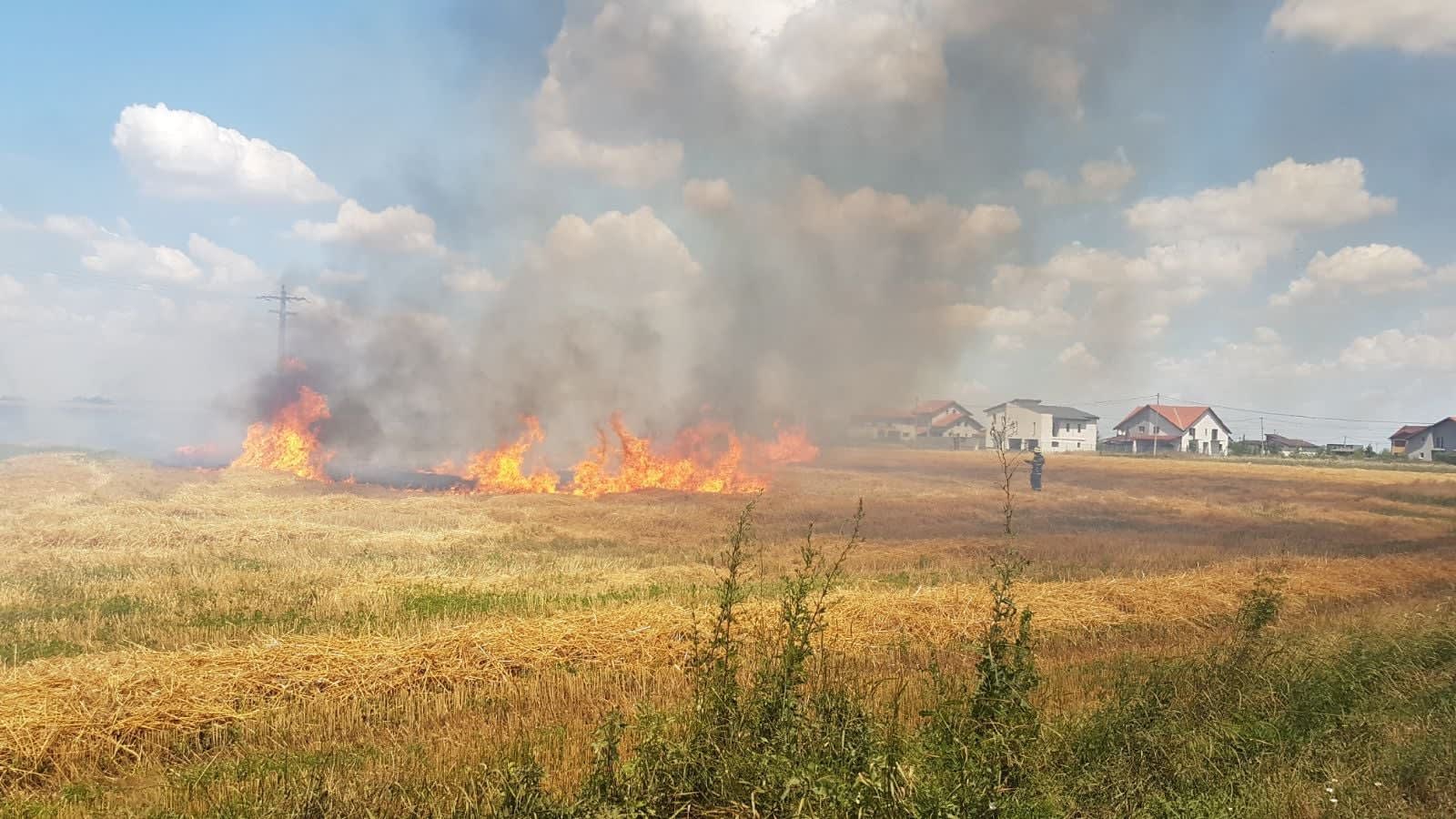 pompieri stingând incendiu de vegetație uscată în Timiș