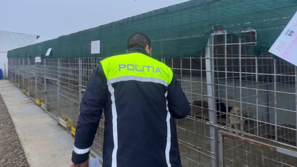 Administratorii adăpostului de câini de la Suraia solicită redeschiderea acestuia