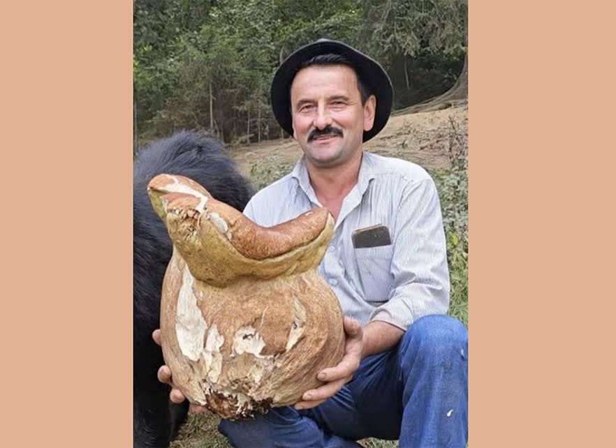 Record la hribi în Retezat: un hunedorean a găsit un specimen uriaș