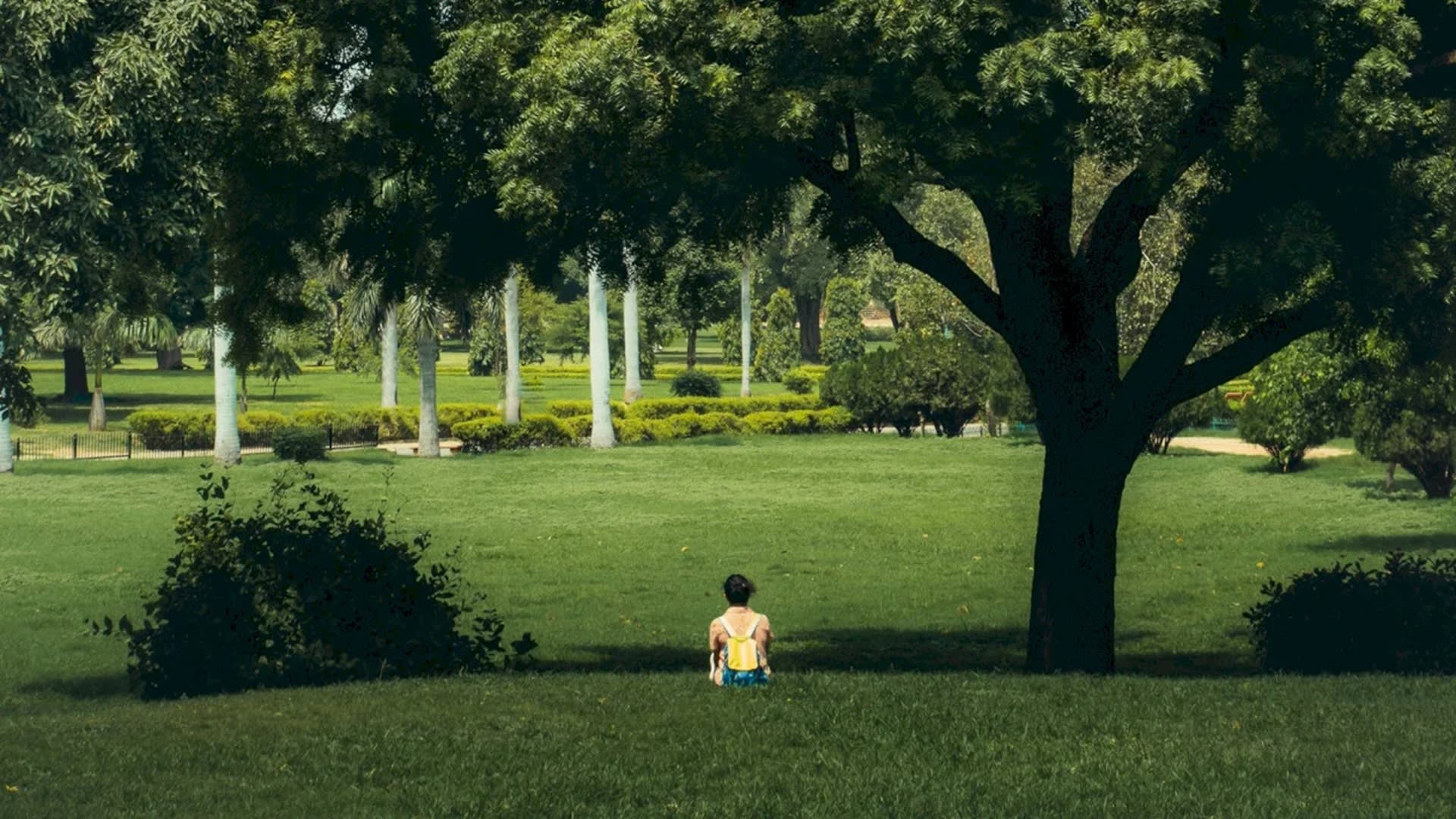 Consiliul Sector 1 a aprobat amenajarea unui parc de peste 4.000 mp lângă Teatrul Excelsior