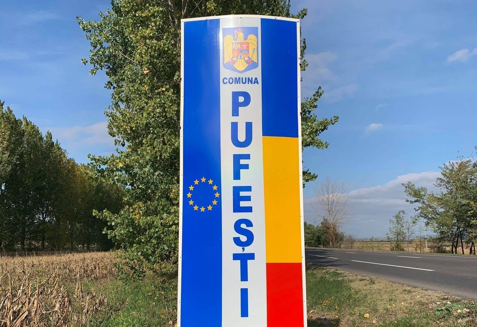 câini comunitari în Pufești, adăpost pentru câini câini comunitari în Pufești, adăpost pentru câini