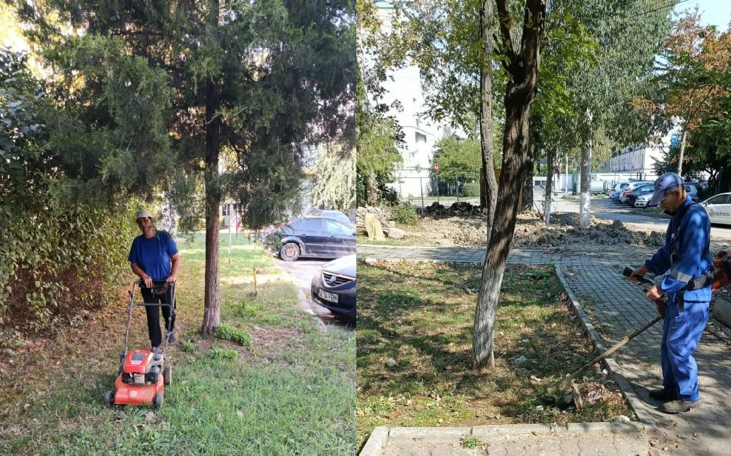 echipe de muncitori întreținând spații verzi în parc echipe de muncitori întreținând spații verzi în parc