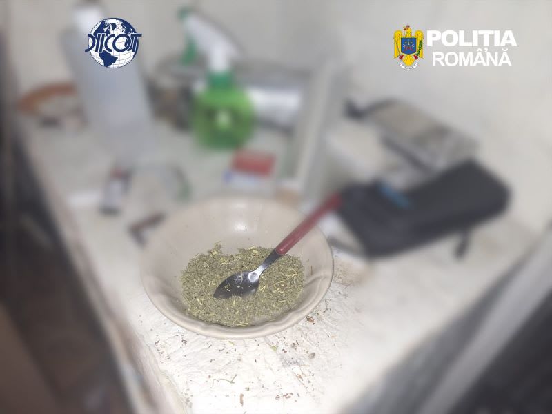 droguri și echipament de laborator, percheziție la Constanța droguri și echipament de laborator, percheziție la Constanța