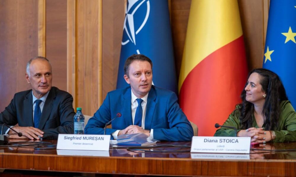 screenshot listă miniștri, politică românească