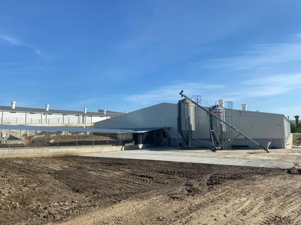 ferme agricole în Murgeni, activitate zootehnică și vegetală ferme agricole în Murgeni, activitate zootehnică și vegetală