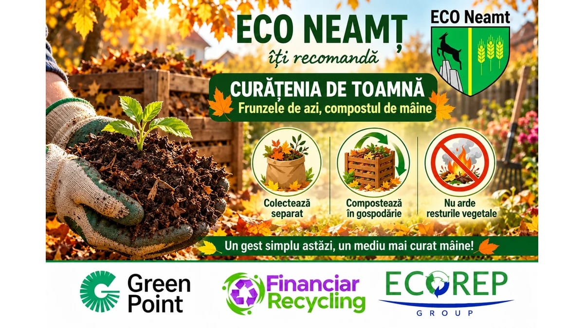 frunze uscate și compost în grădină frunze uscate și compost în grădină