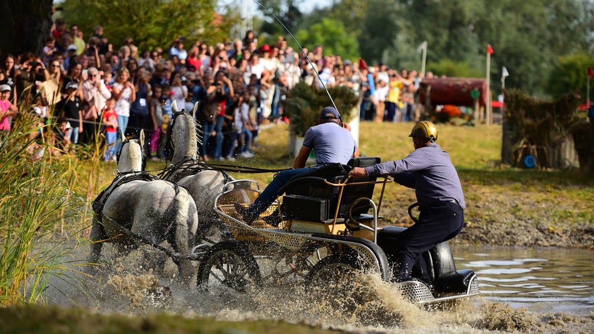 Karpatia Horse Show 2026 revine pe Domeniul Cantacuzino din Florești