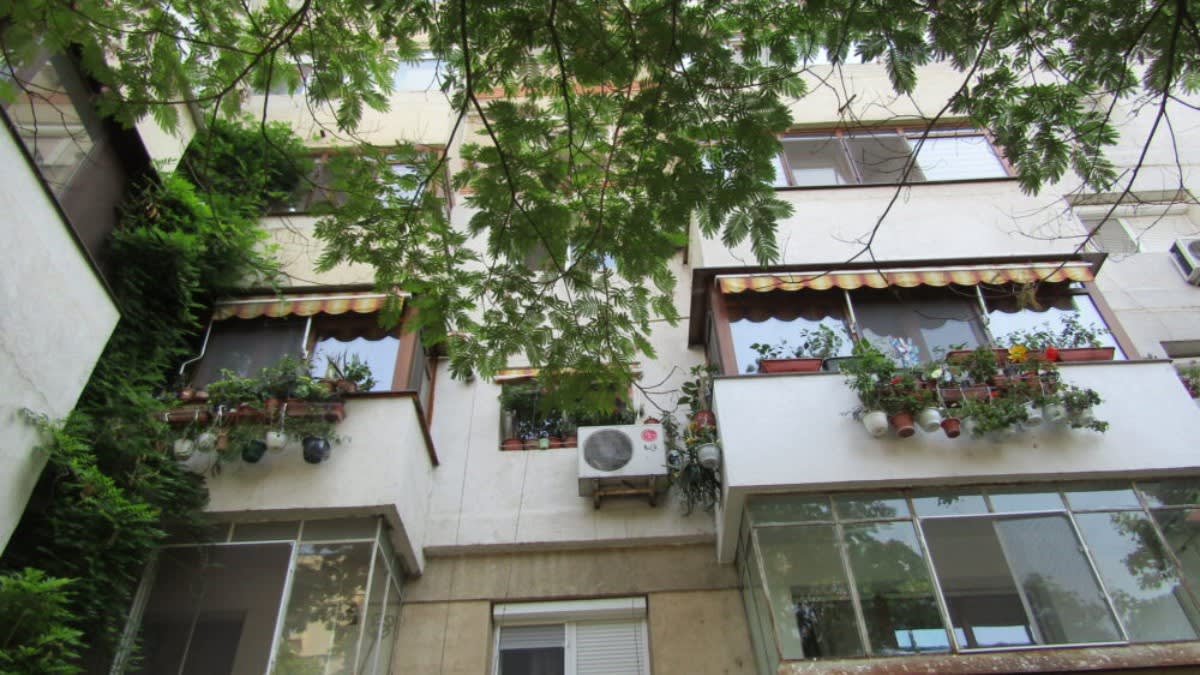 O familie din Brăila a decorat cu 800 de ghivece apartamentul și fațada blocului