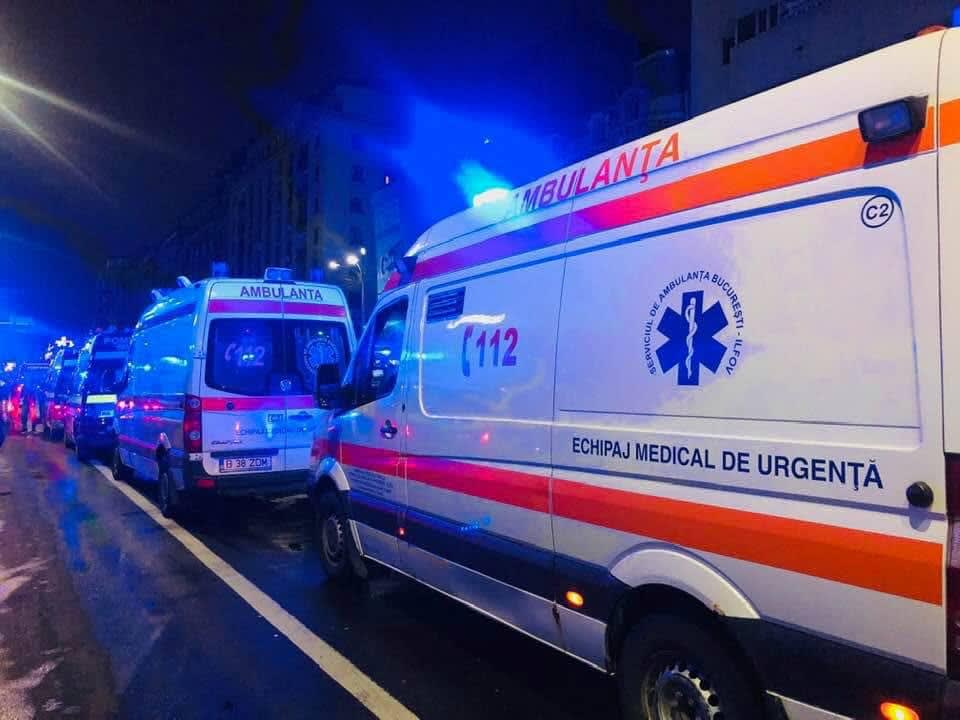 reprezentare virus West Nile, țânțari și măsuri de prevenție reprezentare virus West Nile, țânțari și măsuri de prevenție