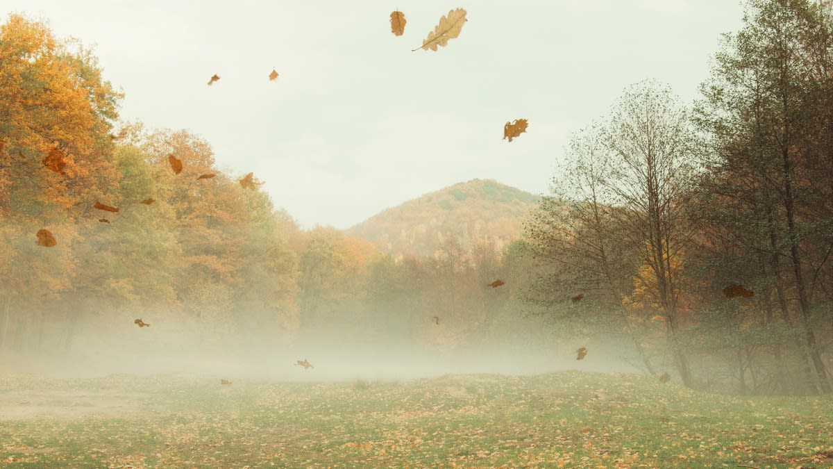 vânt puternic, avertizare meteo, harta județe afectate vânt puternic, avertizare meteo, harta județe afectate
