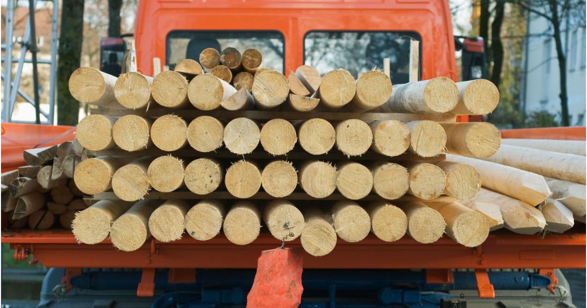 Un bărbat stins din viață figurează ca șofer în 122 transporturi de lemn în Dâmbovița