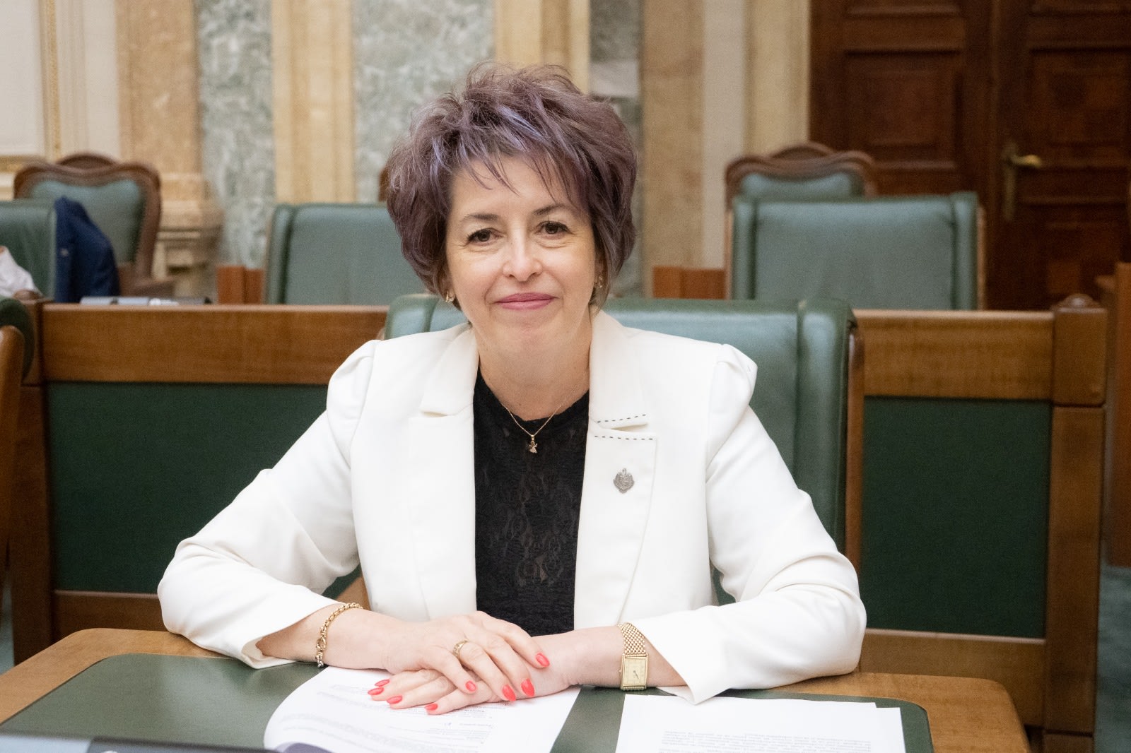 Niculina Stelea critică revenirea lui Sebastian Burduja la Energie și menține aceeași direcție pentru facturi mari