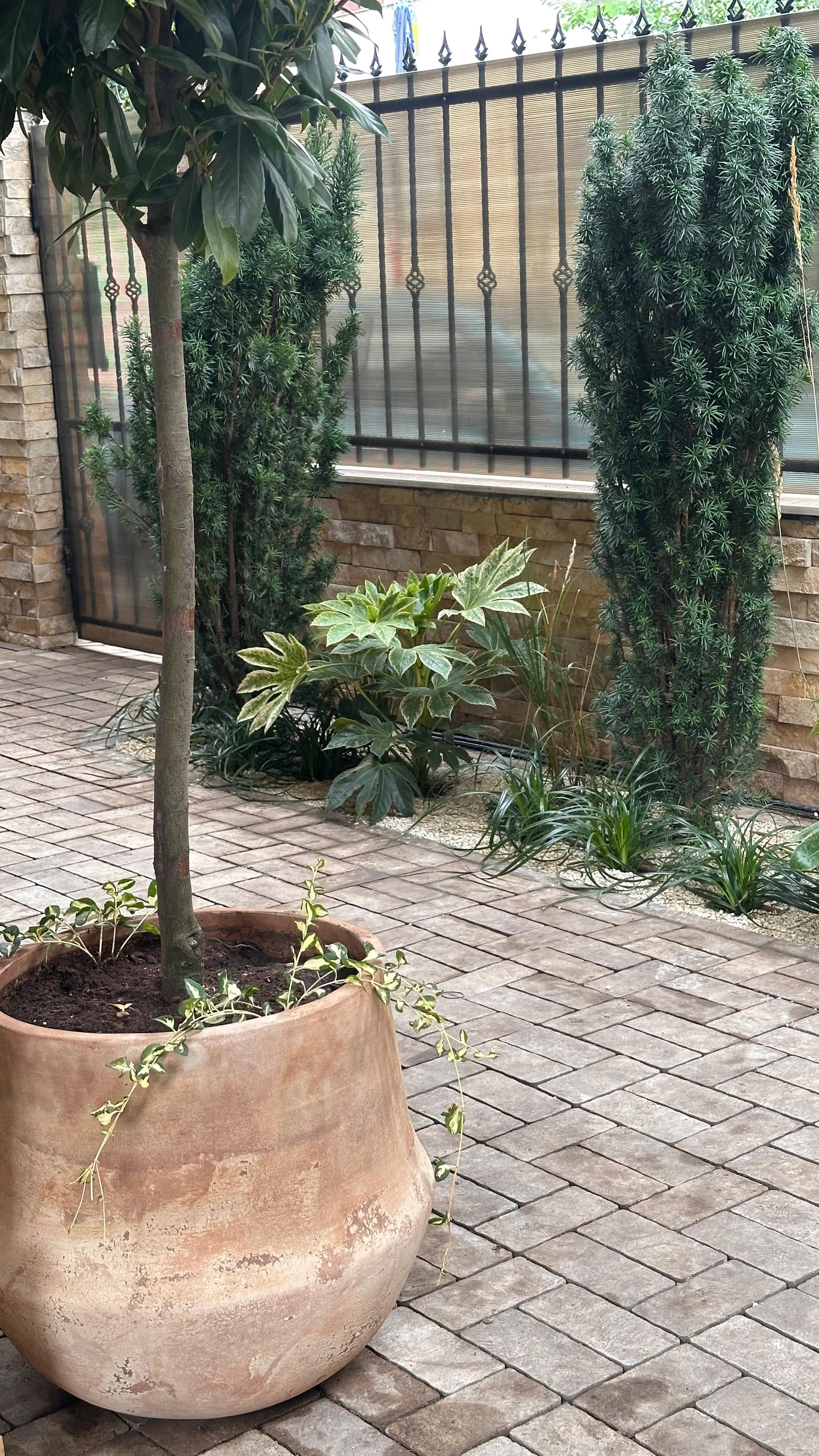 Grădină modernă cu pietre decorative: pașii pe care îi urmează un peisagist Grădină modernă cu pietre decorative: pașii pe care îi urmează un peisagist