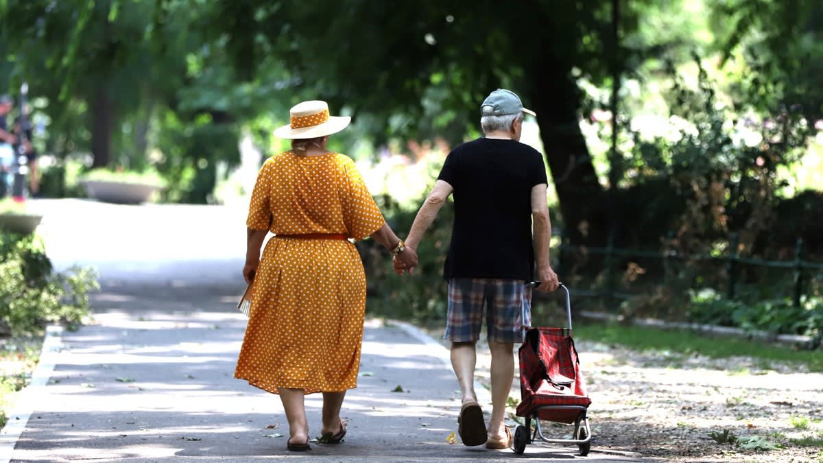 grafice creștere venituri și nivel de trai în România