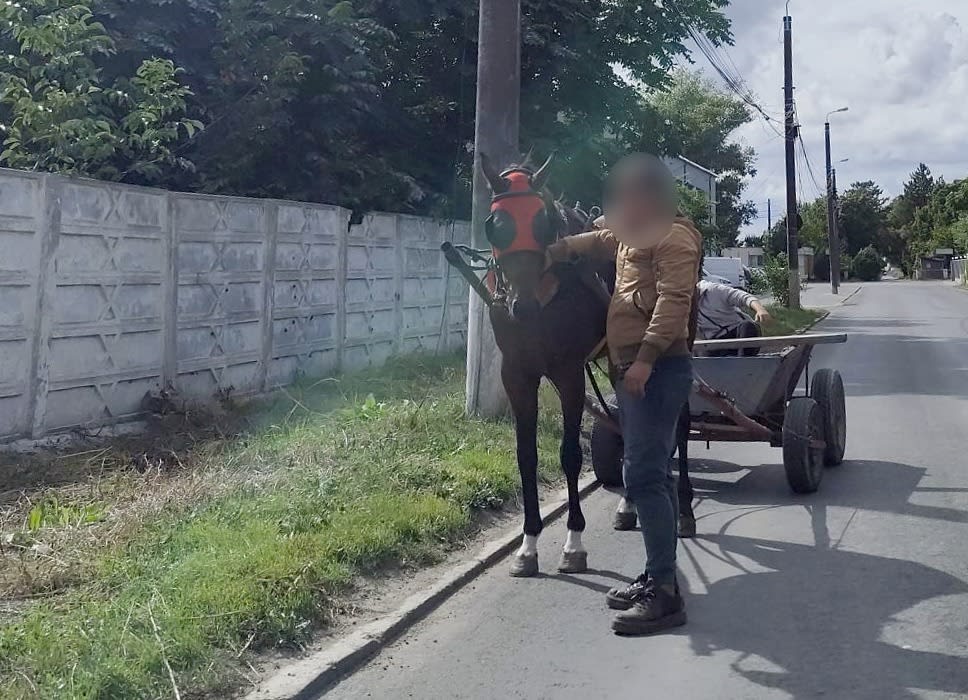 Polițiști locali confiscând o căruță trasă de cal