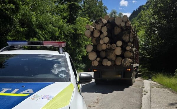 controale silvice în Caraș-Severin, polițiști verificând lemn controale silvice în Caraș-Severin, polițiști verificând lemn