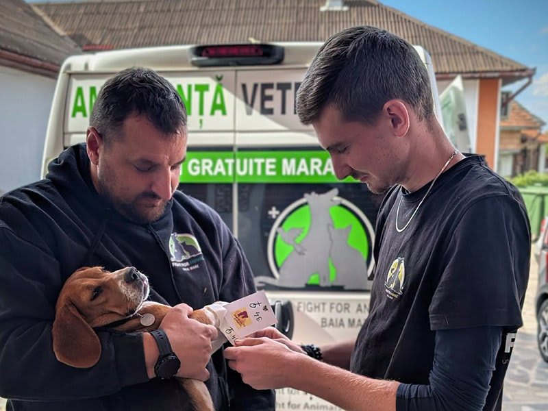 65 de animale sterilizate în campania din Coaș organizată de Fight for Animals