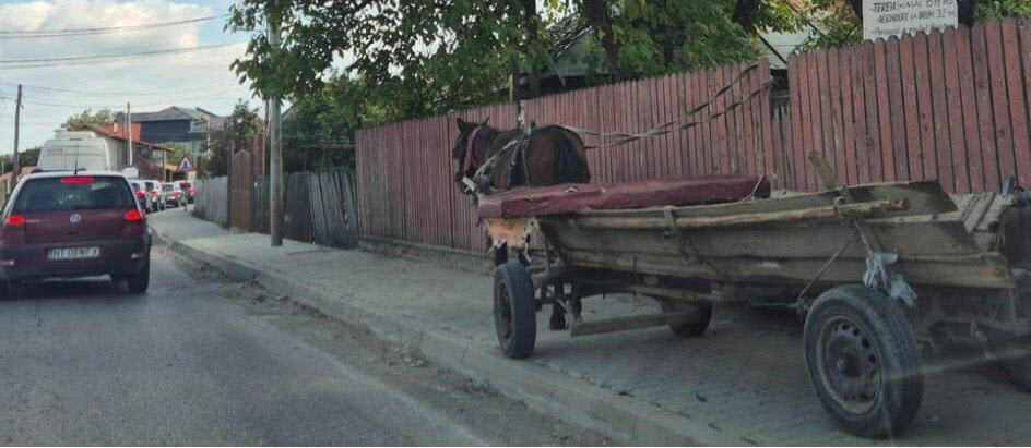 Trotuare din Târgu-Neamț folosite de mașini și căruțe Trotuare din Târgu-Neamț folosite de mașini și căruțe